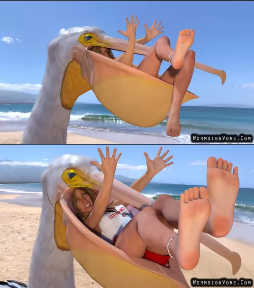 {Image}Pelican Eats Lifeguard(?/Pelican)(F/Human)(Soft)(Oral)(unwilling)(nsfw)(OC: WormsignVore Animations) 