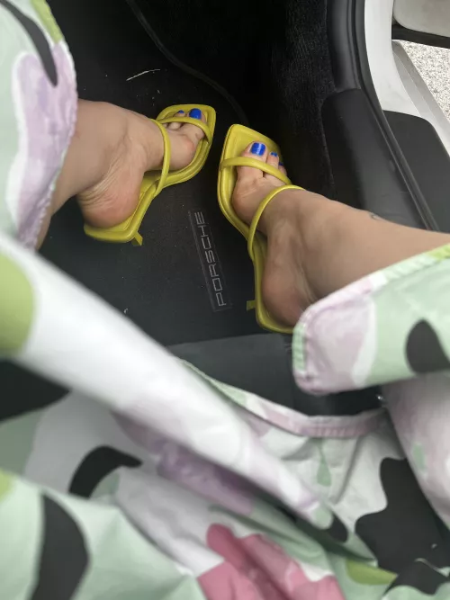 Lime 🍋‍🟩 mood