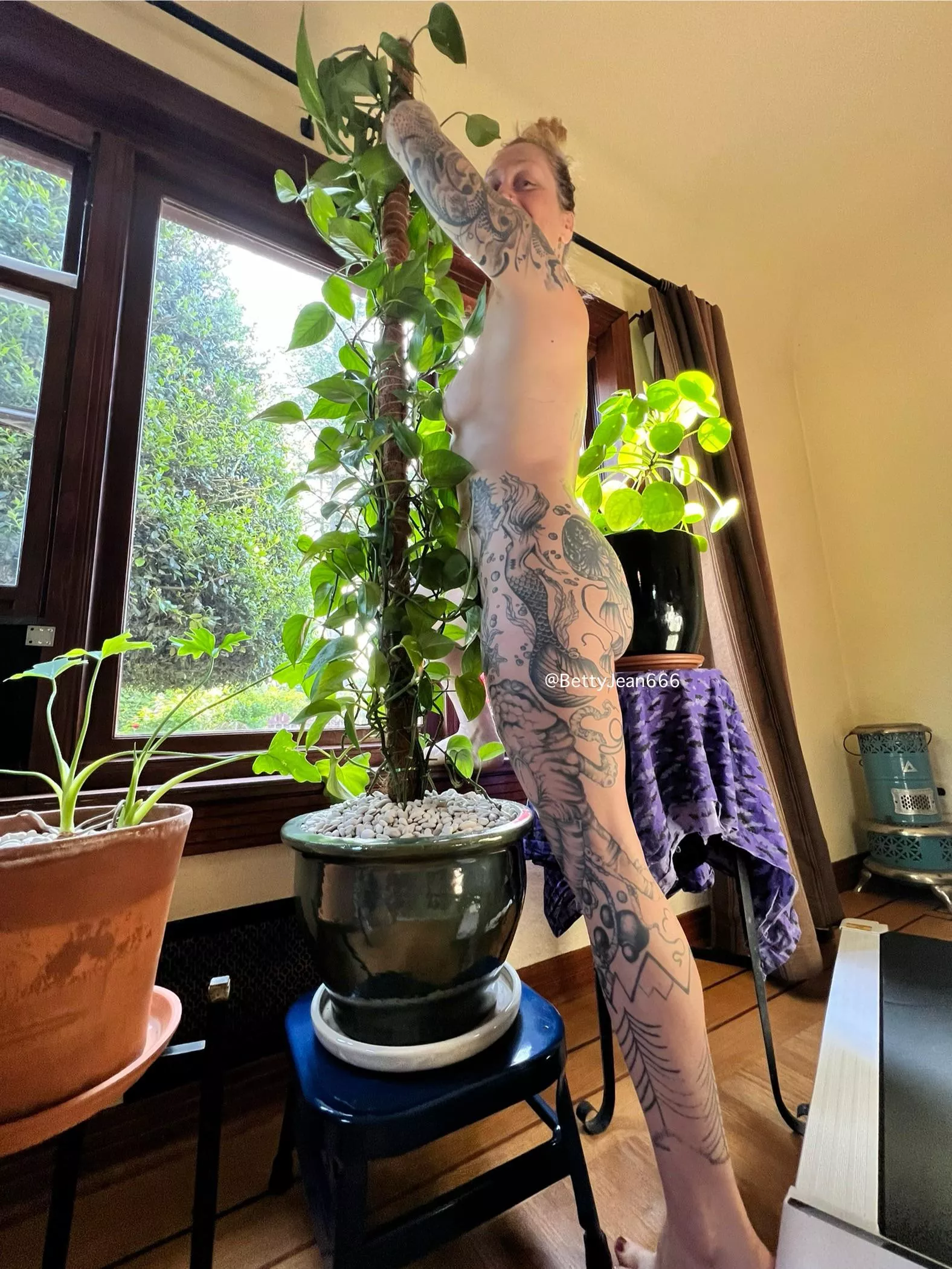 Plant care for my pothos 