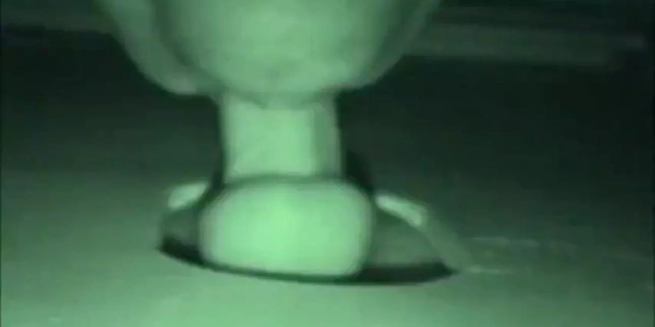 Can you help me find this video?  