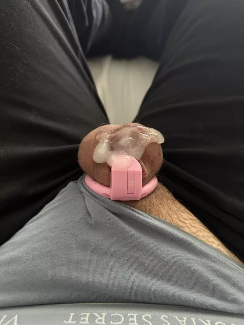 Daddy woke me up and left me a little present on my cage before he left for work...