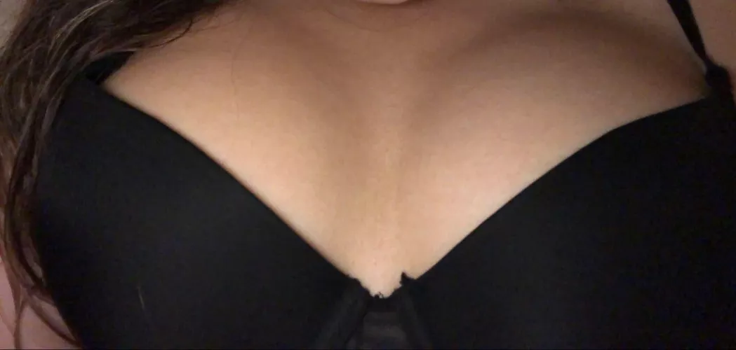 Looking for a dom bull