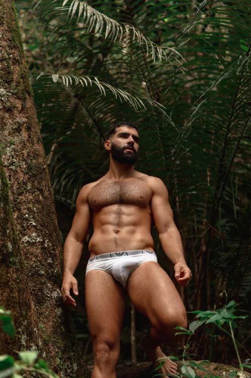 My bulge in the Nature