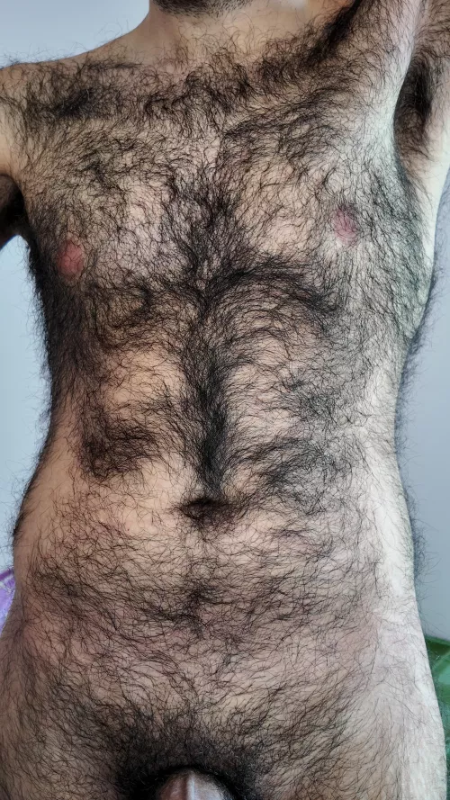 My hairy chest