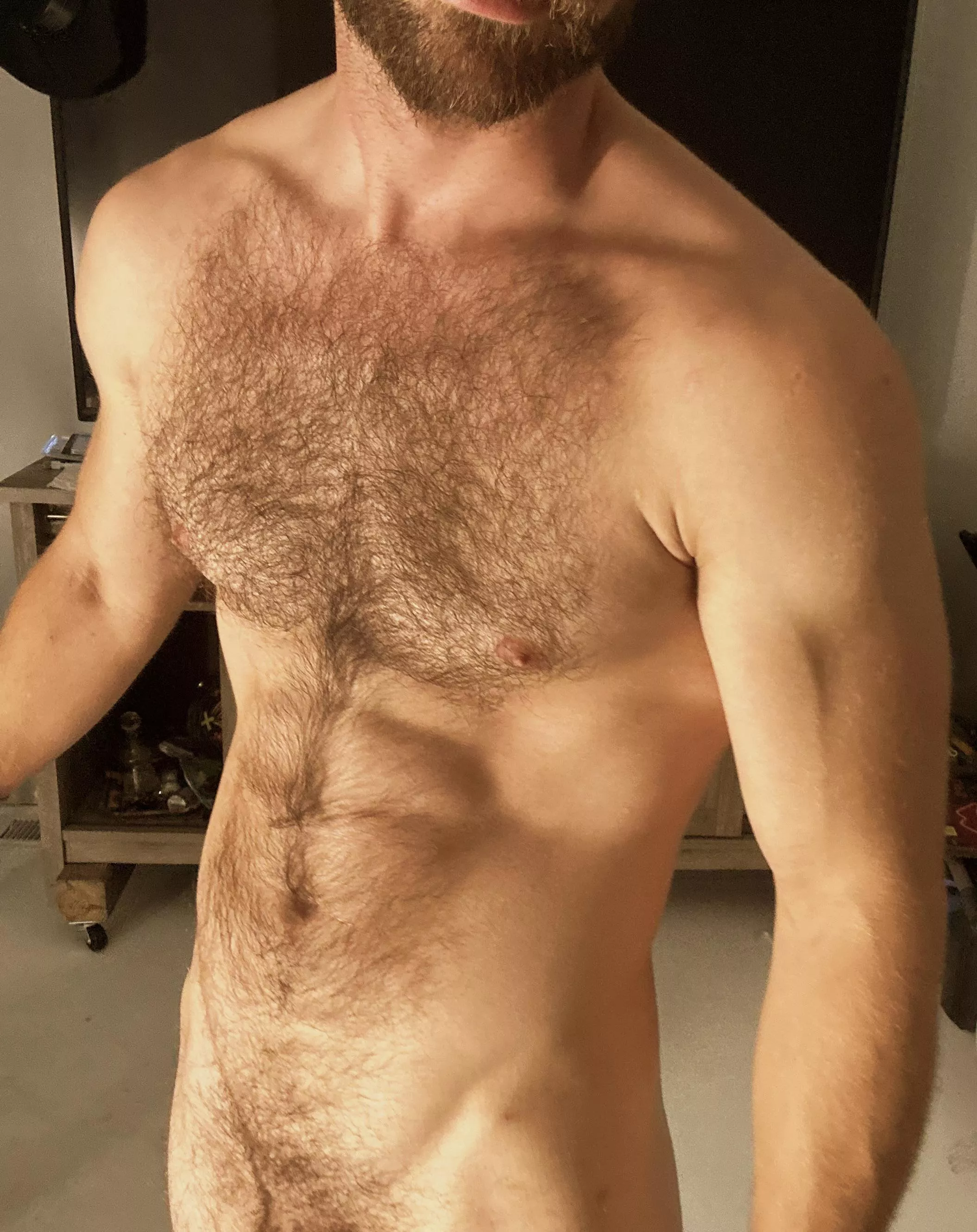 So y'all like hairy dudes here?