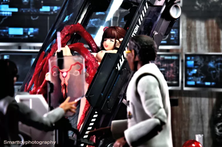 The breeding experiment (Pregnancy confirmation)