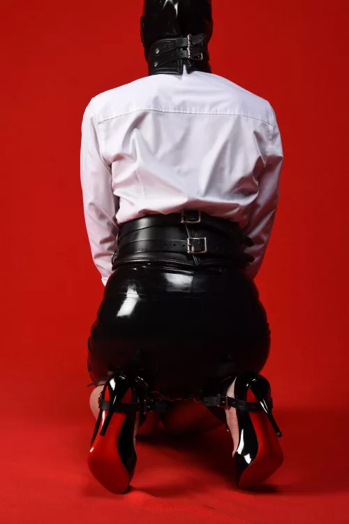 The view from behind. 