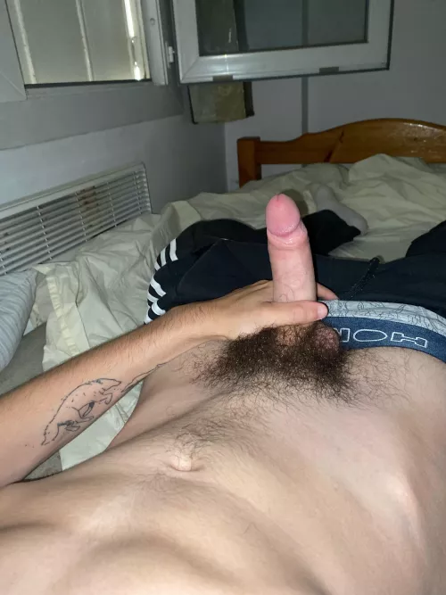 26 sc joho2611 need some hairy bros