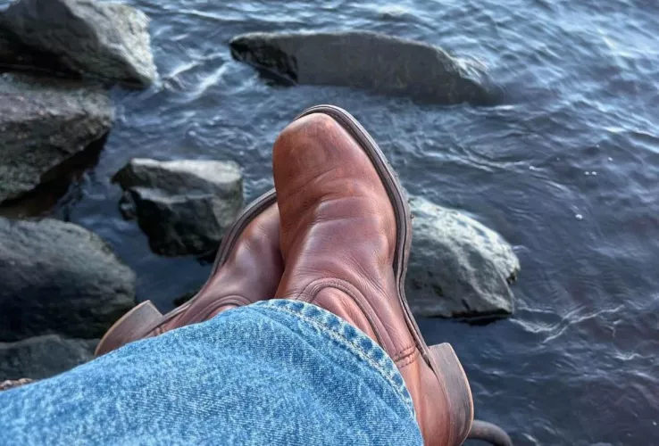 Cannot for the life of me find boots like these (pls help)