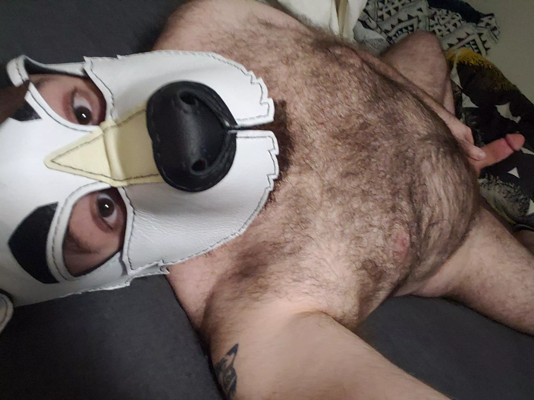 Feeling needy, wanted to share.