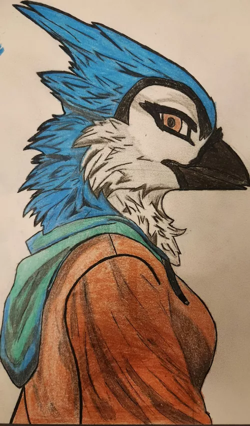 I don't see many Bluejay fursonas, what should her name be? (art by me)