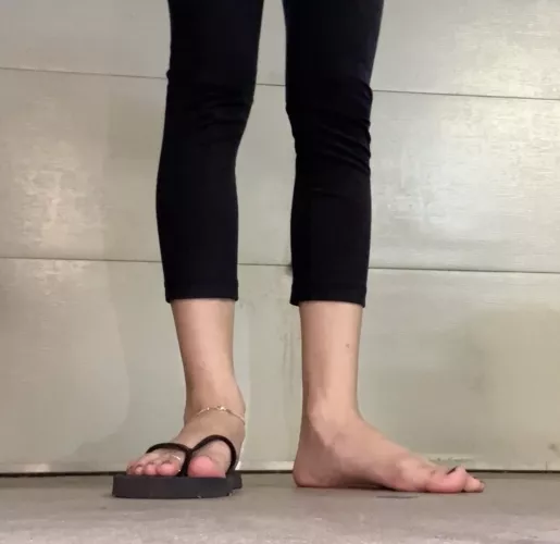 stand firm and shine bright ✨