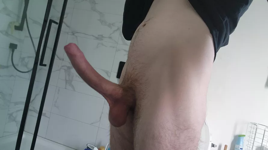 Would you let me breed your girl?