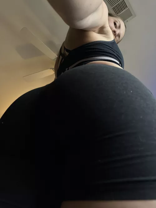 your view before I take a seat on your face for a bit