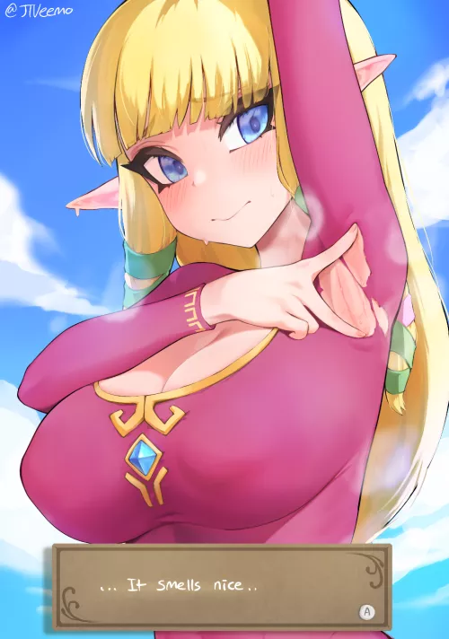 Zelda (The Legend of Zelda: Skyward Sword - jtveemo)