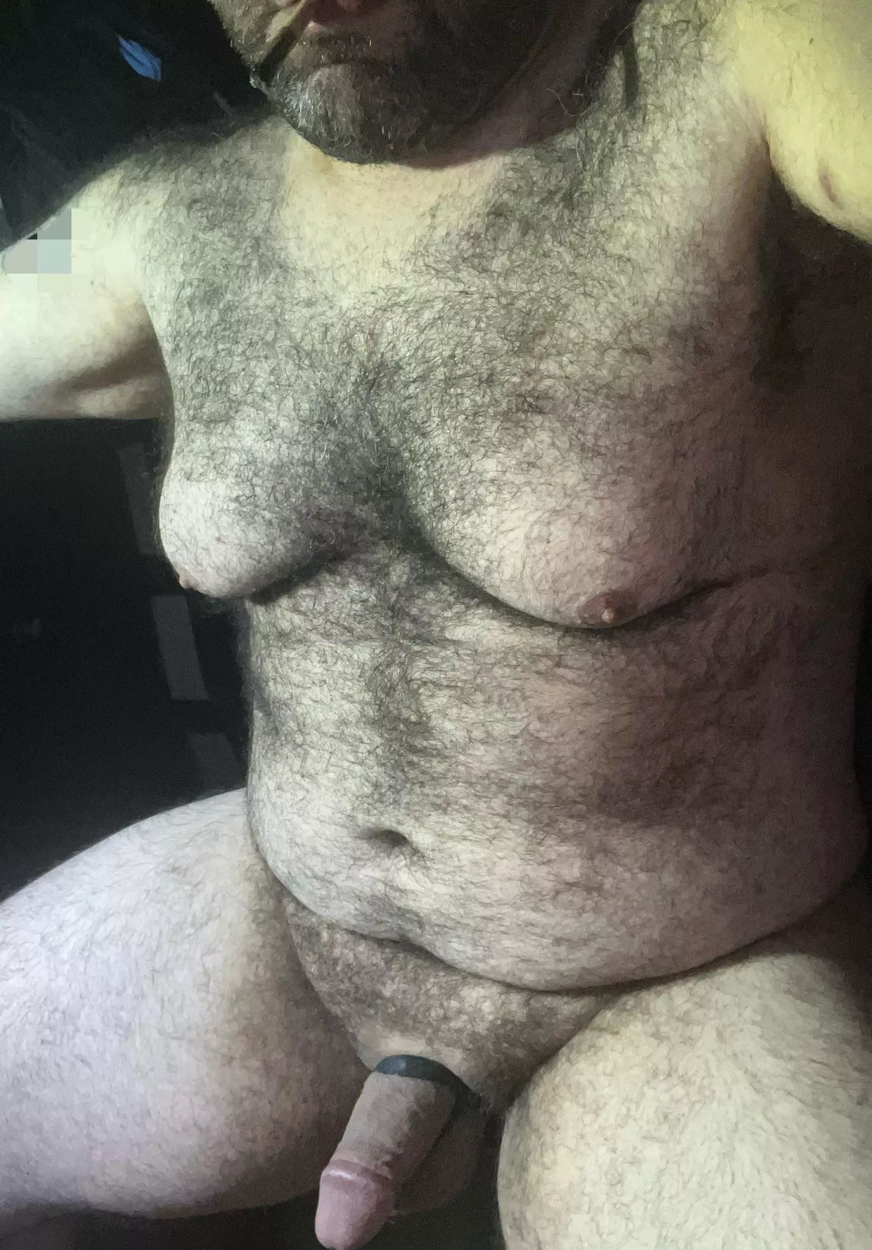 (40) Who needs a Daddy Bear in their life?