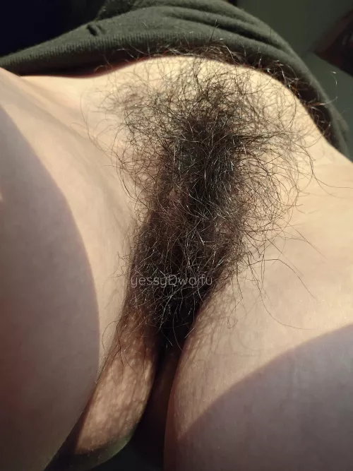 a naturally contained bush is also hot 