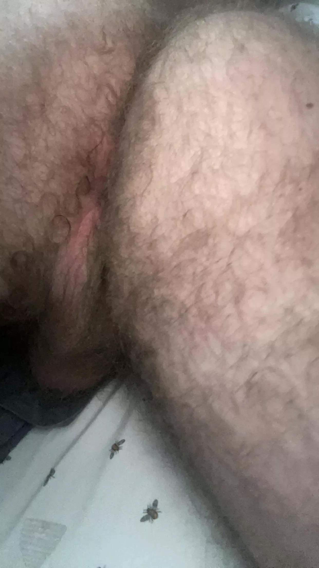 British otter arse and pink hole