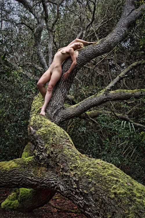 Exploring the Forest