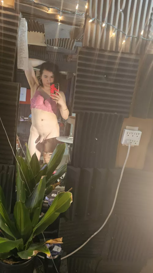 Obey your fillipina mistress 