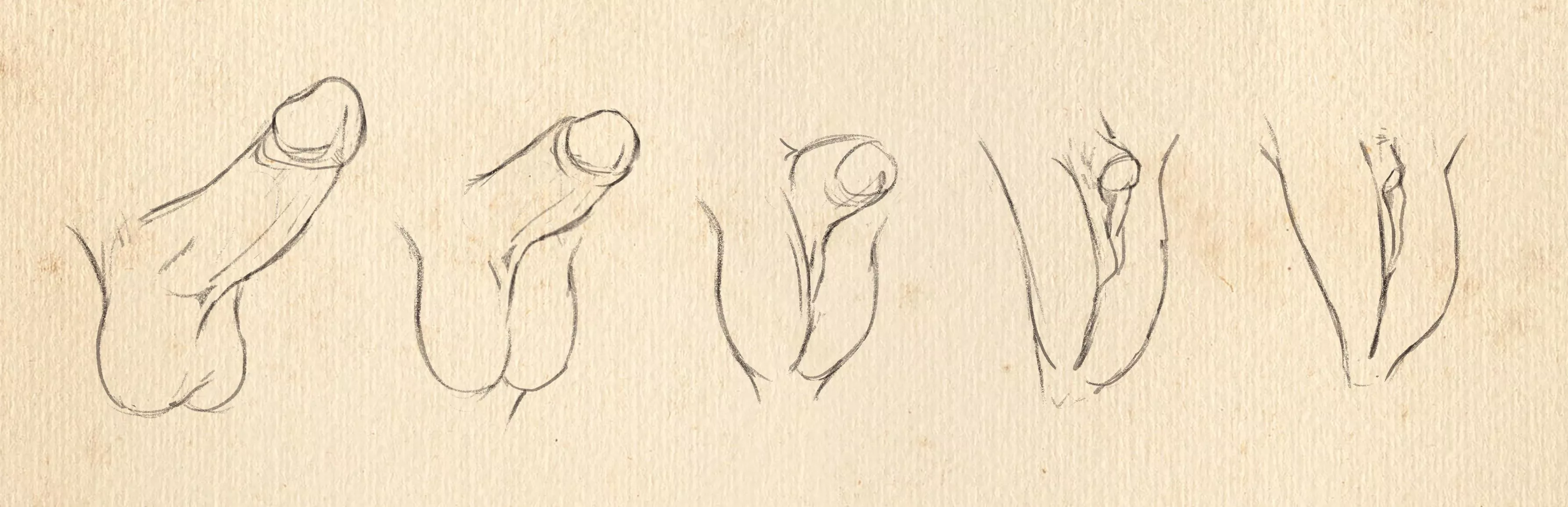 Penis to Vagina - by StrawberryTFs