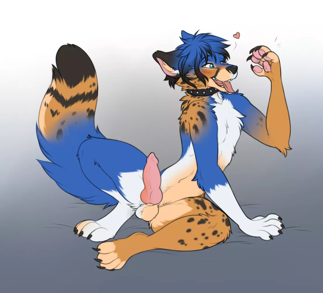 Transforming (by Keihound)