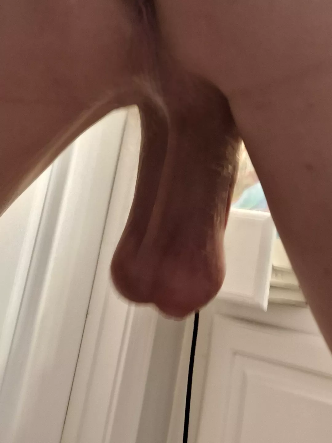 [28] posterior angle for ya
