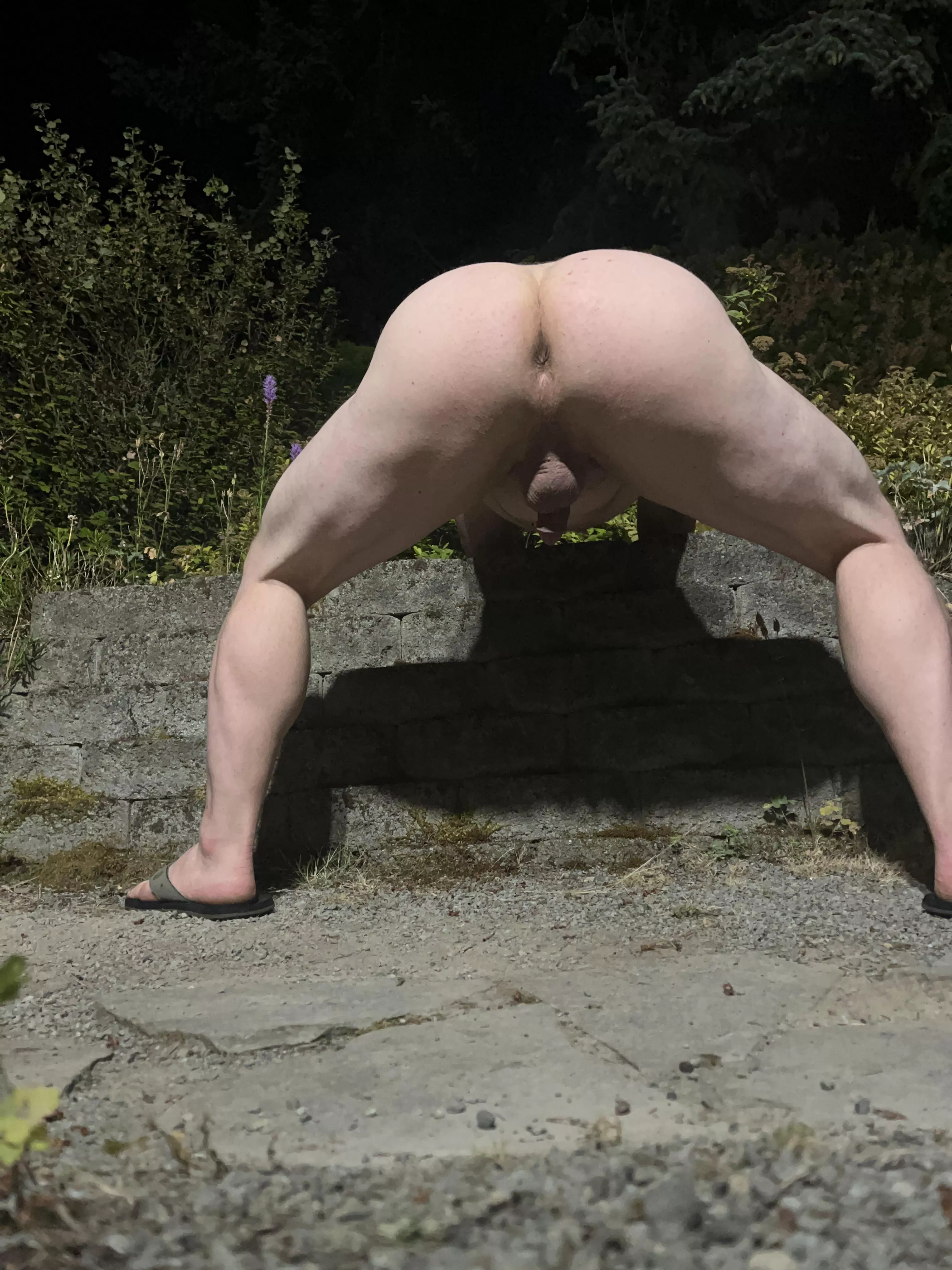 A wild booty appears, are you eating or fucking it first?