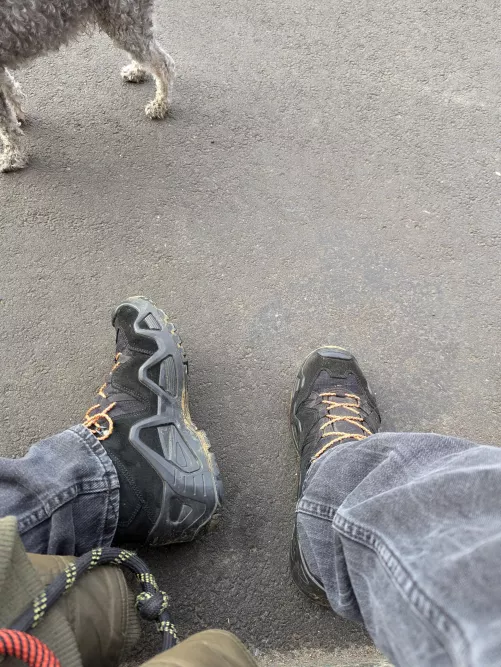 BOTD Lowa walking the pups