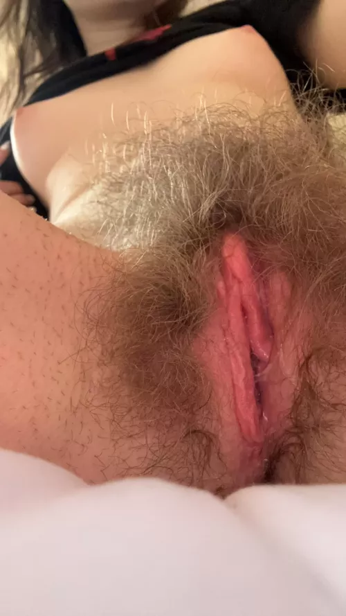 Heard you wanted a closeup ;)