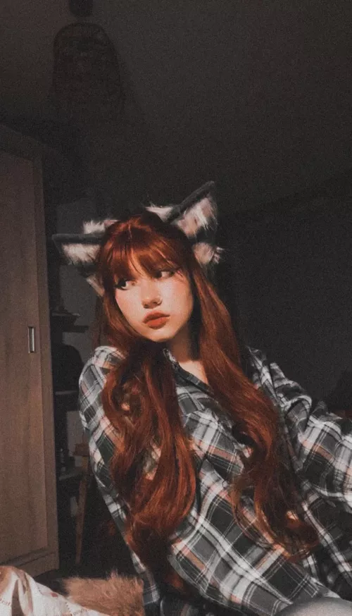 is the fox closer to the cat or the dog? 