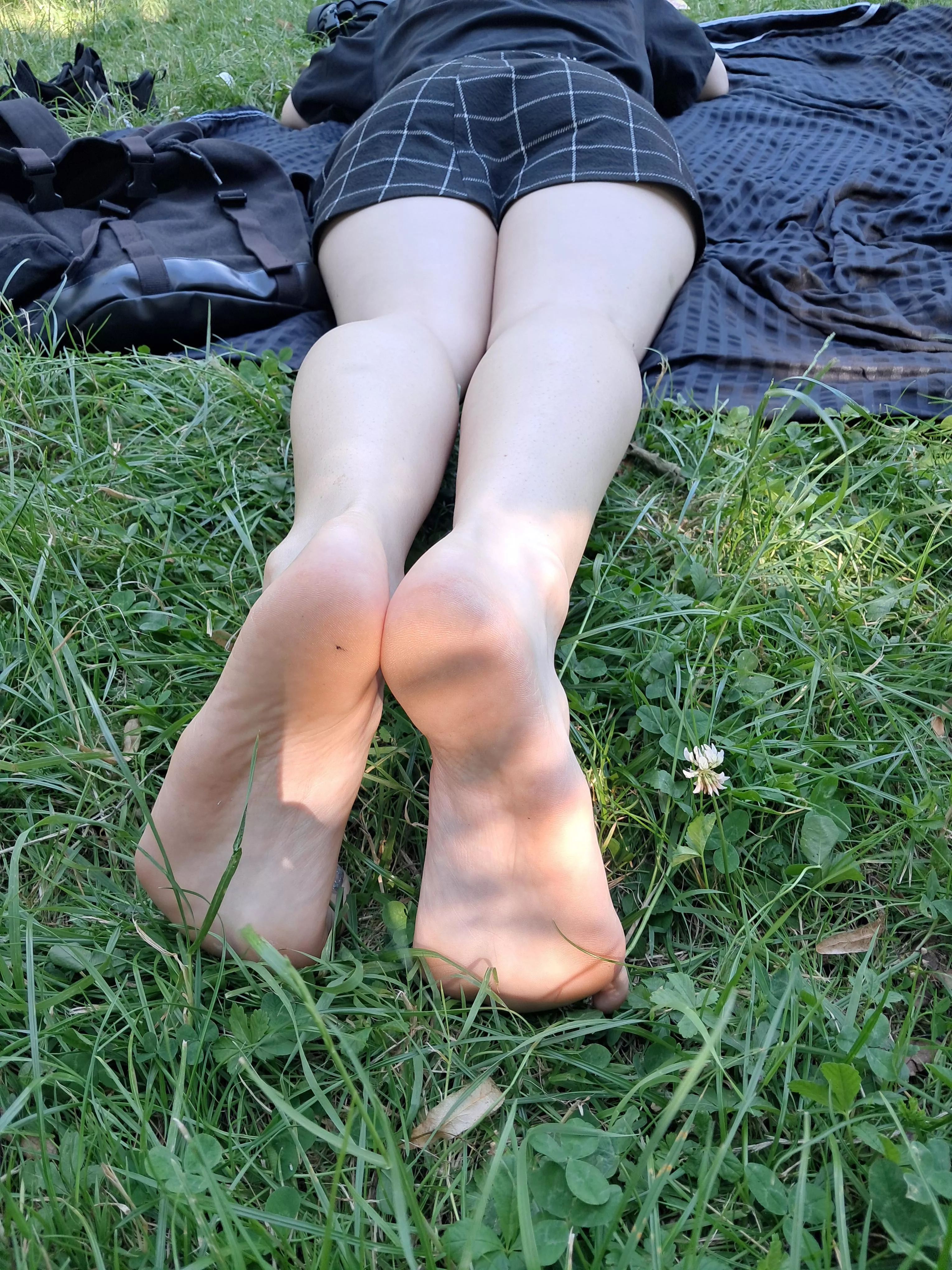 Laying in the grass