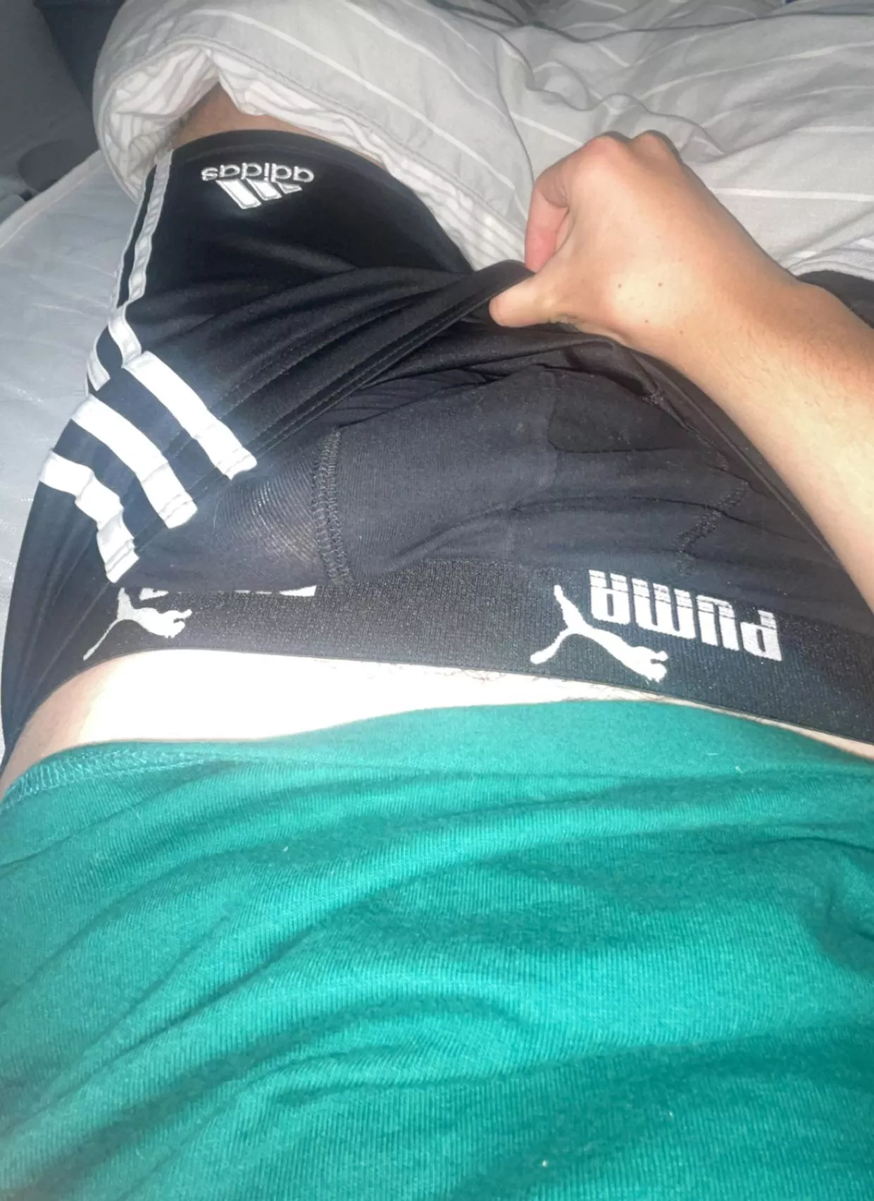 Let me know if you want to see it (19)