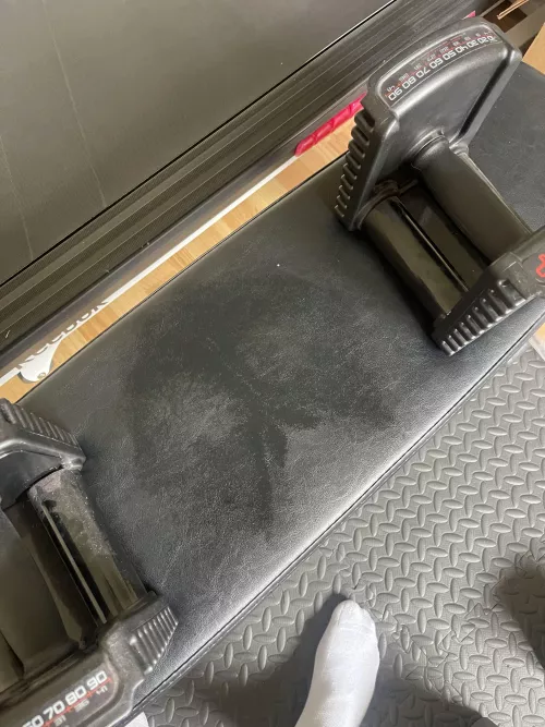 Paw Prints? How about Ball Prints?