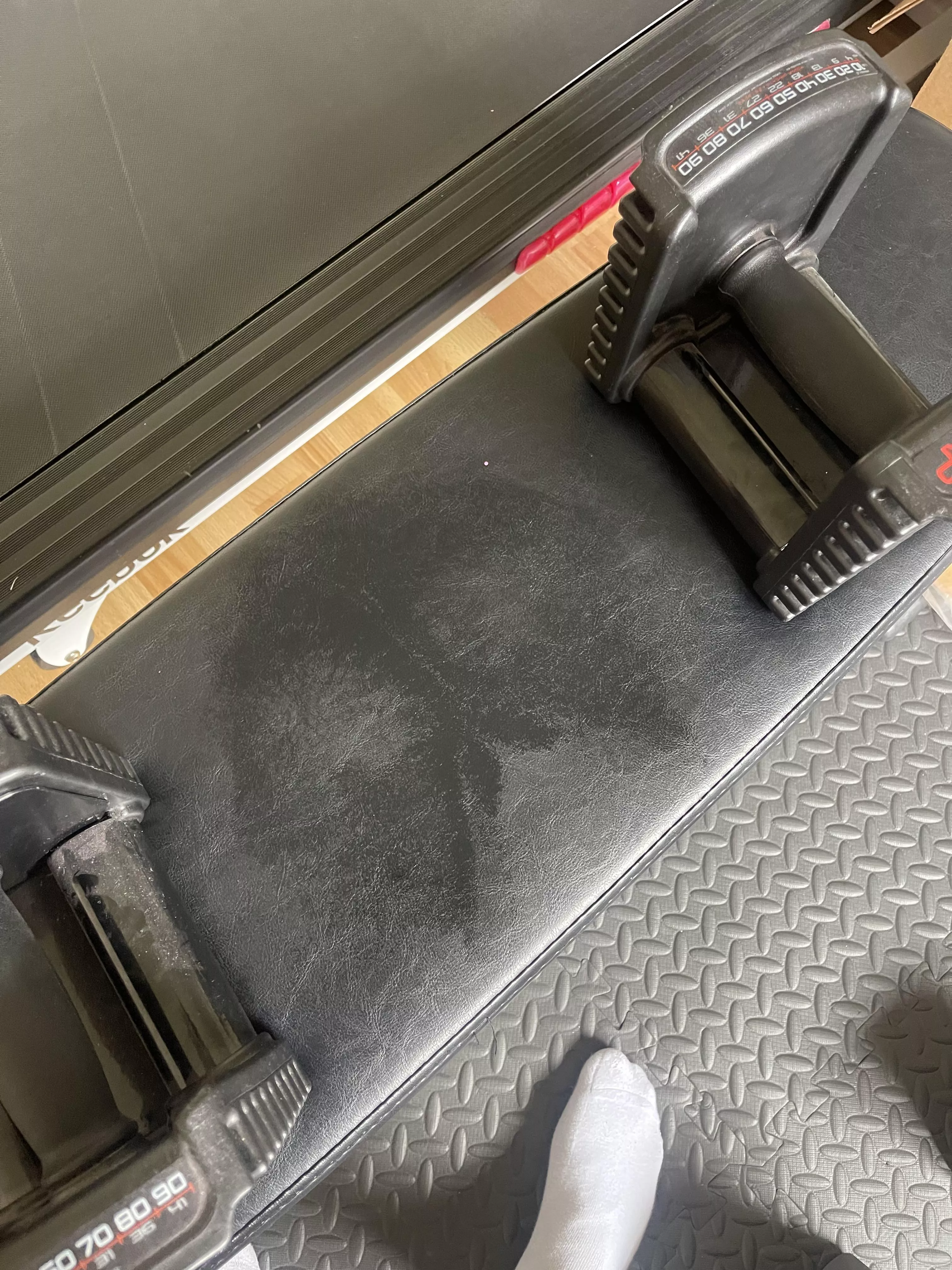 Paw Prints? How about Ball Prints?