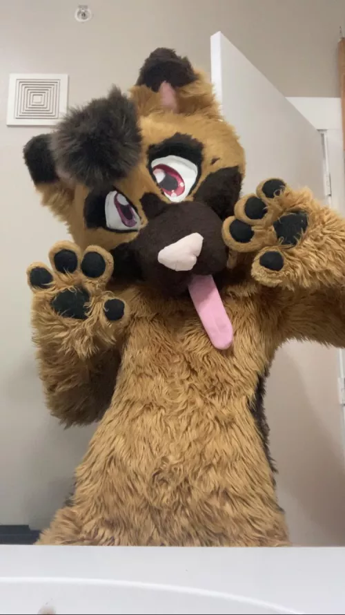 Dog with Homophobia in it’s eyes 💕