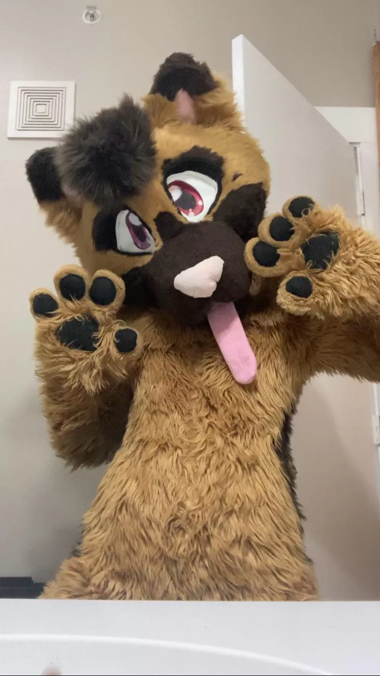 Dog with Homophobia in it’s eyes 💕