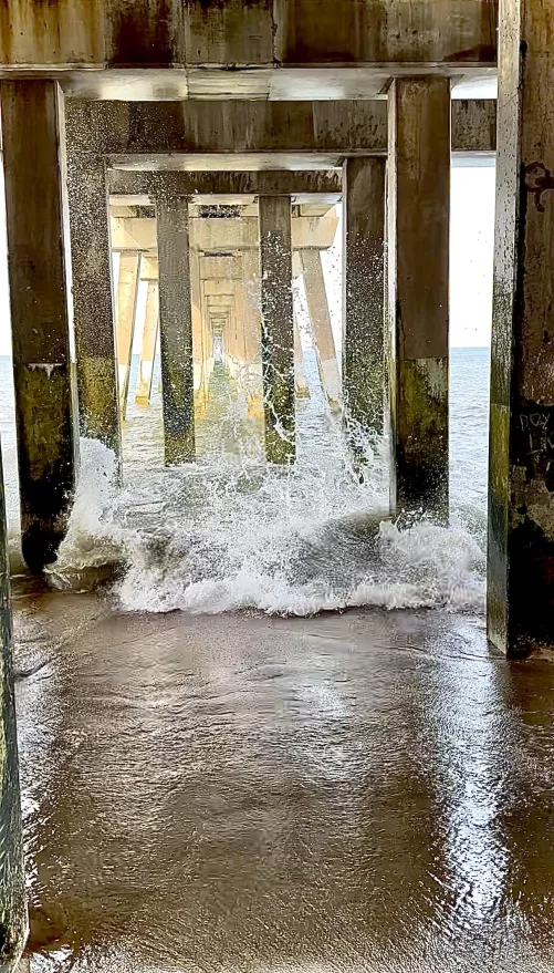 High tides and good vibes