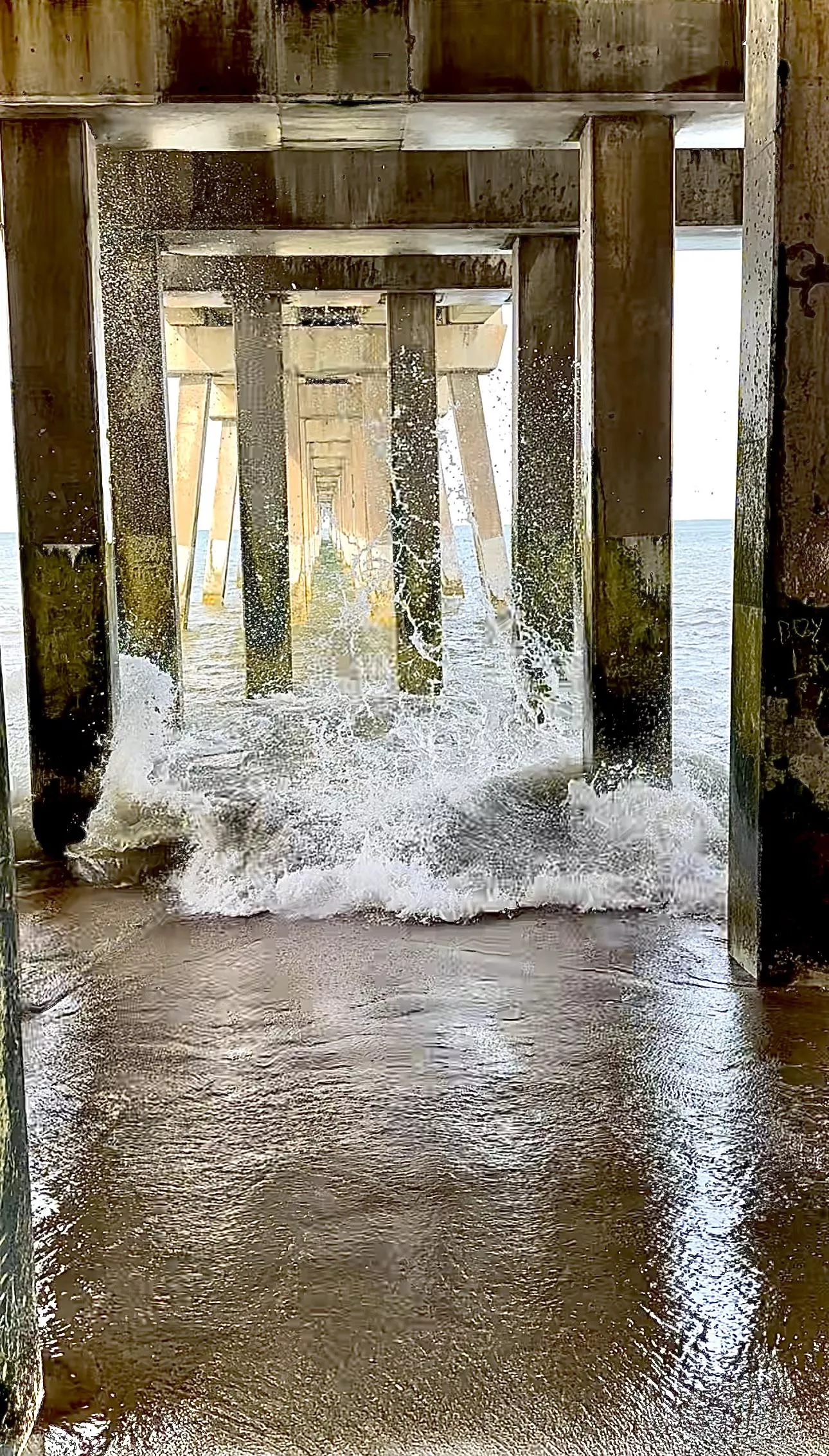 High tides and good vibes