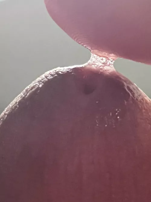 It ain’t easy bein creamy