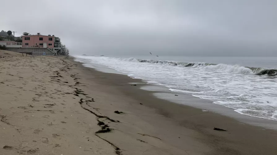 Malibu Friday morning. The pelicans looked bigger in real life. 