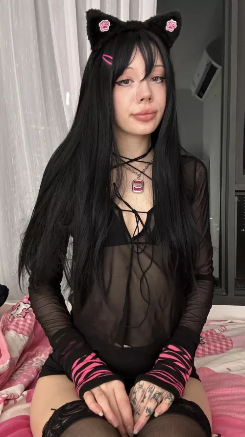 Pay attention to your kitty!