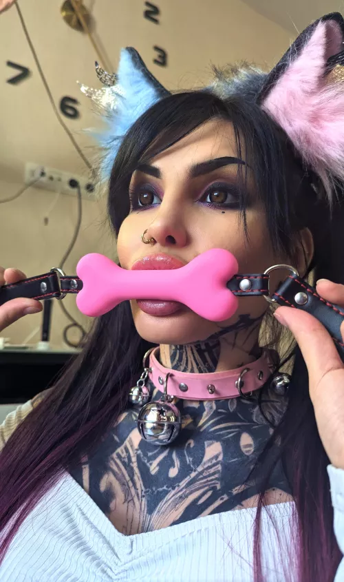 Rub my belly and tell me I was a good pet