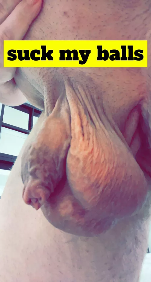 Suck Daddy's balls, slut.
