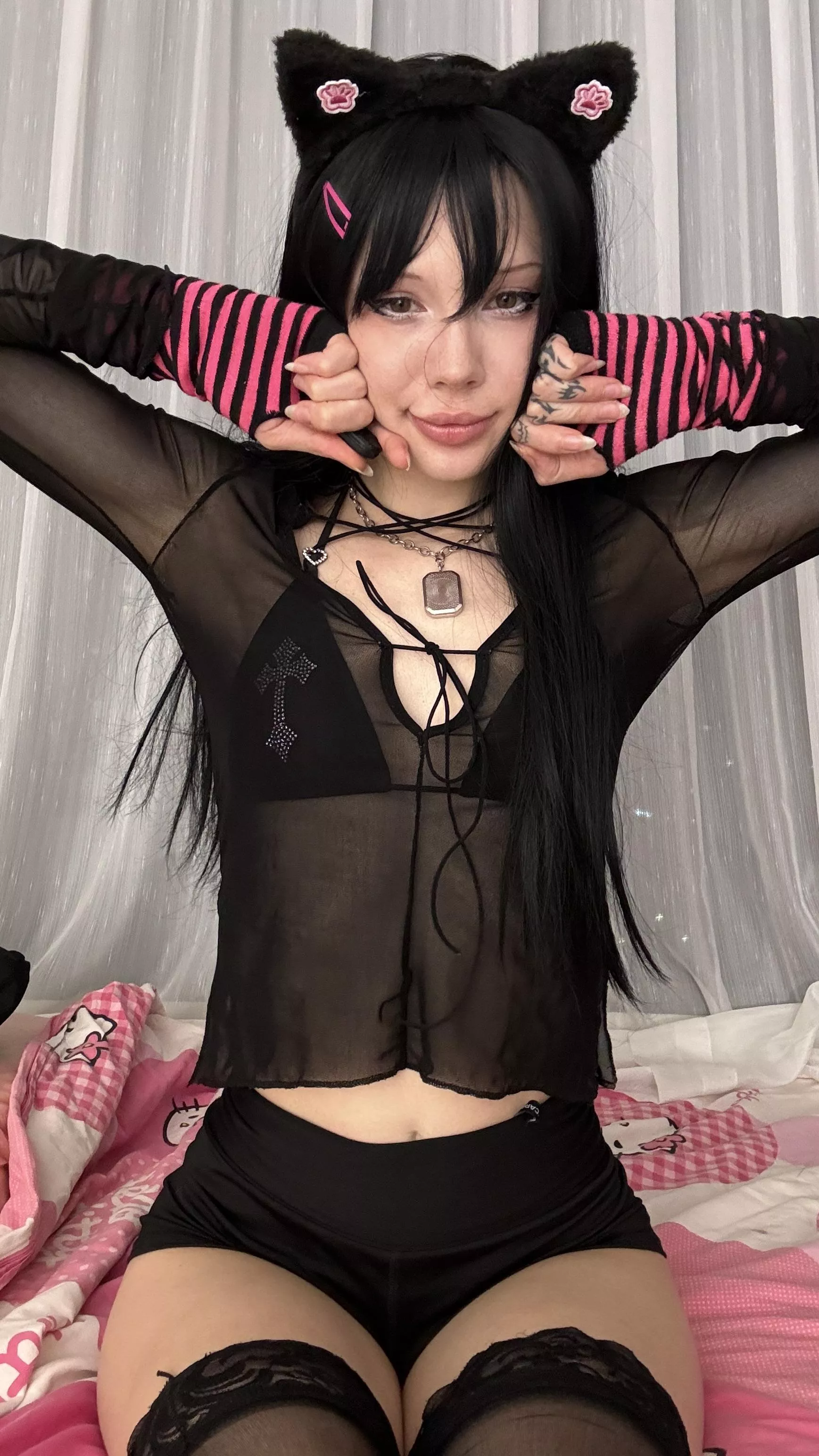 the cat really wants to get milk