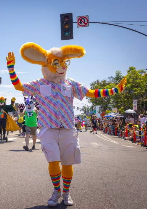 Went to a gay pride parade in San Diego