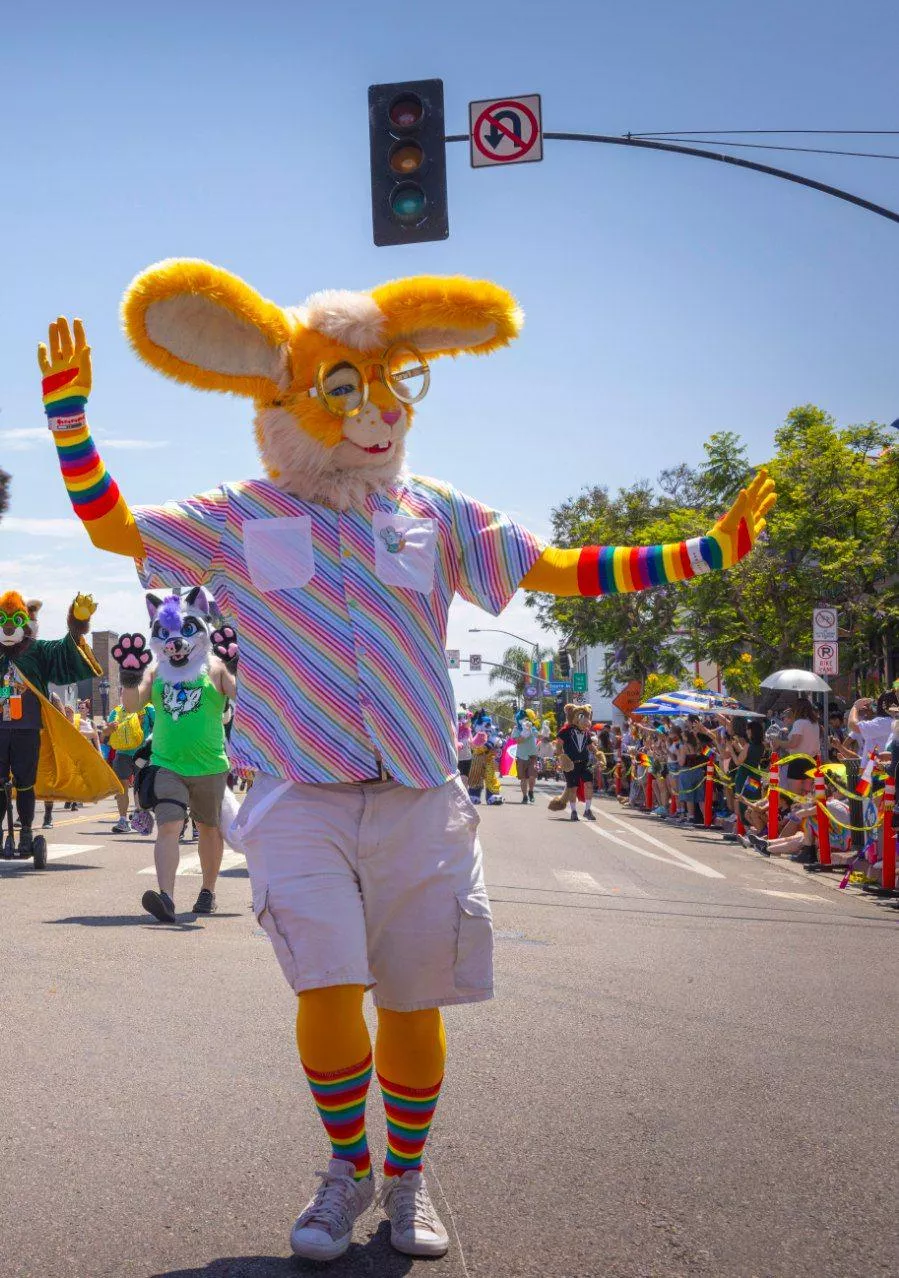 Went to a gay pride parade in San Diego