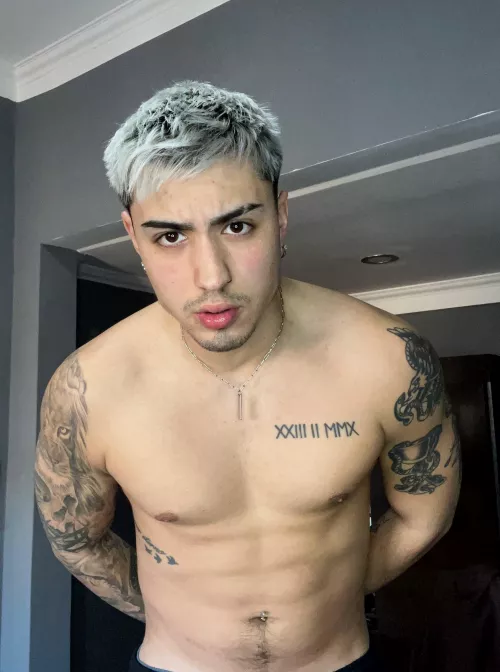 when an alpha male takes control, you better be prepared for the ride of your life