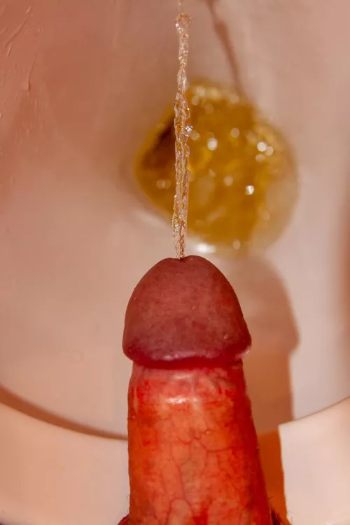 Ausnahmsweise mal geschafft ;-) (2009)  / Done for once ;-) (2009)