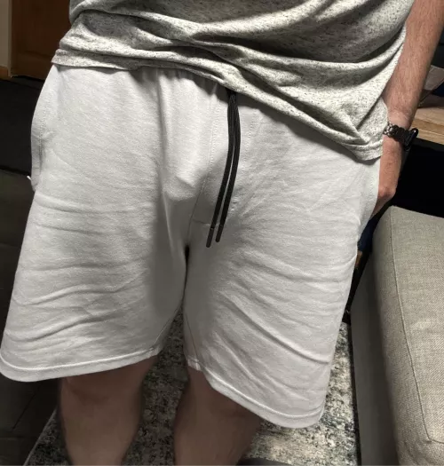 Do gray shorts work the same as gray sweatpants? (41)